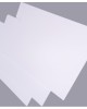 Premium White Cardstock Paper for Art and Crafts - 250/300gsm A4 and 8K Sizes